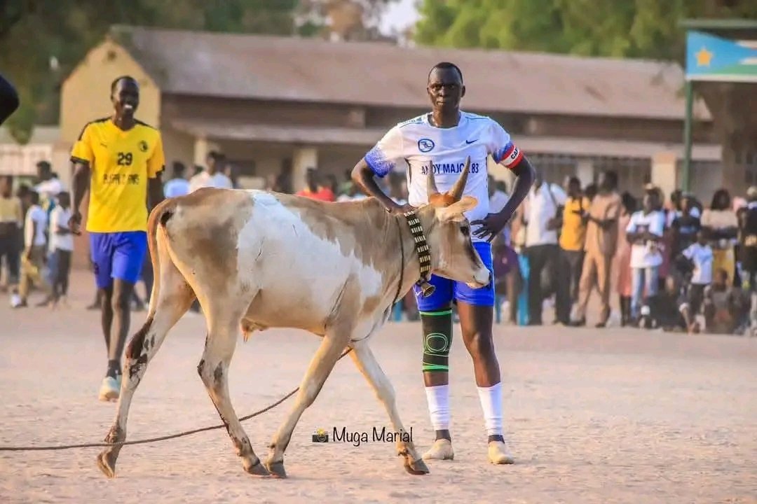 Insolite : Un troupeau de bétail interrompt un match au Soudan du Sud