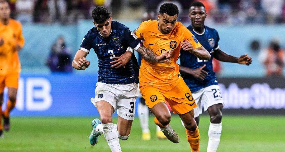 Coupe du monde 2022 : L’Equateur donne rendez-vous au Sénégal pour la qualification en huitième de finale